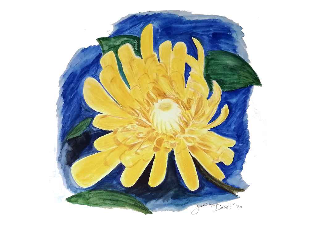 10x Dandi Art Cards