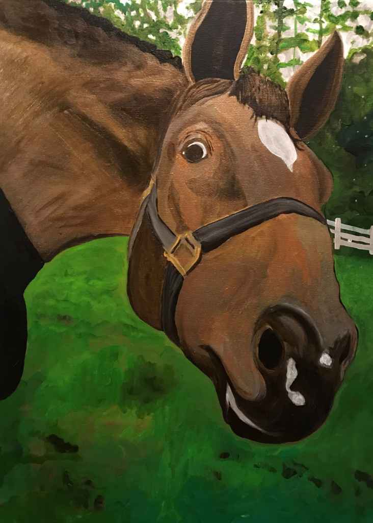 10 x Horse Art Cards