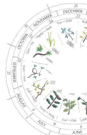 Ogham + Tree Wish + Moons + Calendar = Earth Guide Care Package